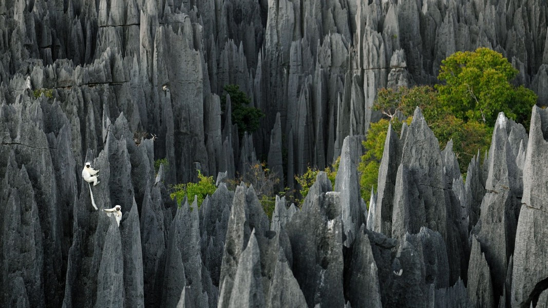 Bên dưới những “lưỡi dao chọc trời” là hẻm núi, hang động, cũng là chỗ trú ẩn lý tưởng cho các loài động vật có nguy cơ tuyệt chủng. Theo Geology Science/Fotolia.