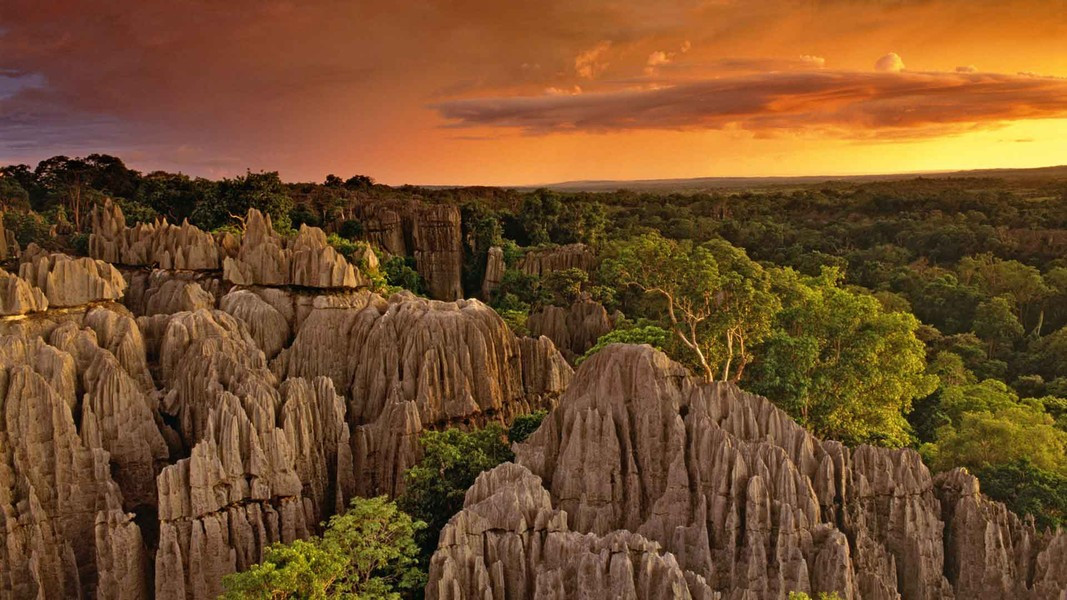 Rừng đá Tsingy chính thức được UNESCO công nhận là Di sản thế giới năm 1990. Theo Geology Science/Fotolia.