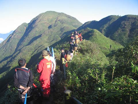 Đỉnh Fansipan cao 3.143m, cách Sapa khoảng 9km về phía Tây Nam, ở vùng giáp hai tỉnh Lào Cai và Lai Châu thuộc vùng núi Tây Bắc Việt Nam. Cung đường dài nhất (khoảng 37km đường núi) xuất phát từ bản Cát Cát của Sapa ở độ cao 1.245m đi chinh phục Fansipan, được xem là cung đường nguy hiểm và nhiều thử thách nhất cho các phượt thủ.
