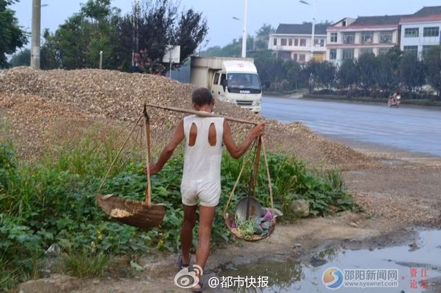 Chen đi bán rau mỗi ngày, các loại rau ông bán thường khá phổ biến và bán khá chạy. Dường như ông lão đã trồng rau sạch và không sử dụng thuốc trừ sâu. Chính điều này và hình ảnh đặc biệt của Chen đã khiến ông được nhiều người dân biết đến và quý mến.