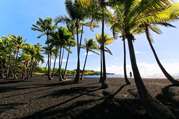 3. Punaluu, Hawaii. Ở Hawaii, các bãi biển có nhiều màu sắc khác nhau từ trắng, xanh hoặc đen. Sự đa sắc màu này là nhờ hoạt động của núi lửa hoạt động liên tục trên các đảo.