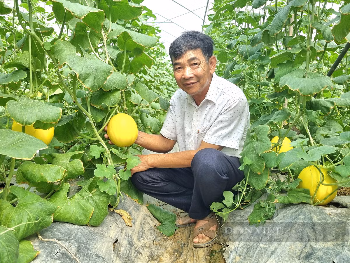 Bien ruong hoang thanh nong trai sach, lao nong dut tui 1,5 ty/nam-Hinh-4