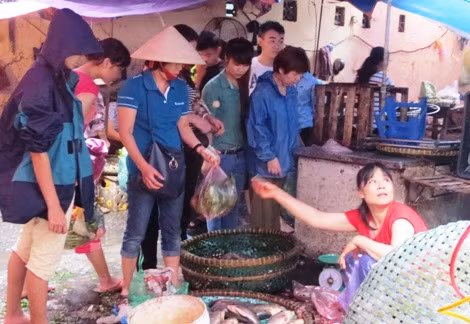 Hàng cá bị "bao vây". Ảnh: N.Đan