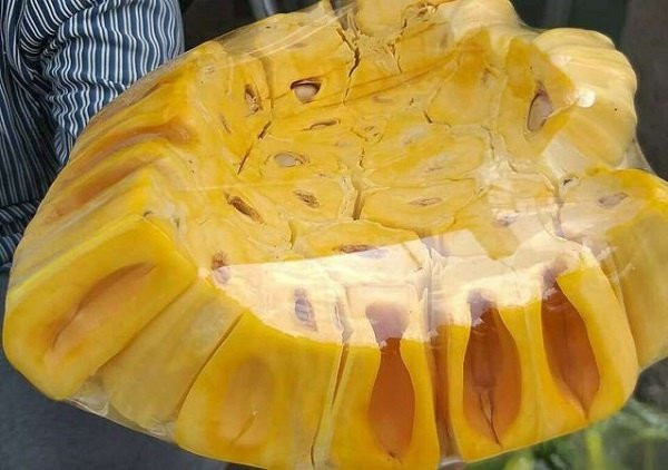 Mua mít cứ nhắm vào điểm này biết ngay mít chín cây hay mít ngậm thuốc Mua mit cu nham vao diem nay biet ngay mit chin cay hay mit ngam thuoc