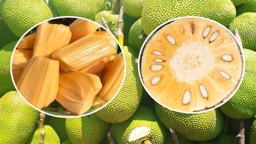 Mua mit cu nham vao diem nay biet ngay mit chin cay hay mit ngam thuoc-Hinh-2