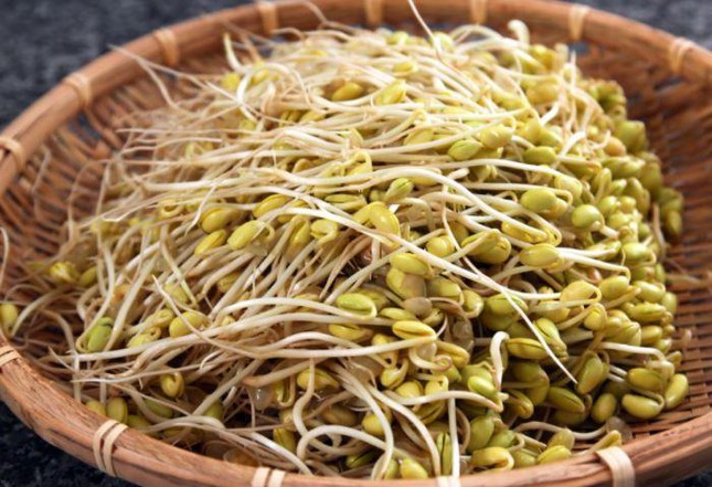 Nhung dai ky khi an gia do, can tuyet doi tranh