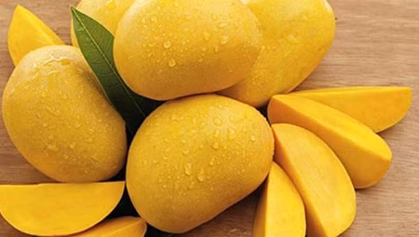 Xoai duoc kich chin bang hoa chat de trong ngon hon-Hinh-2