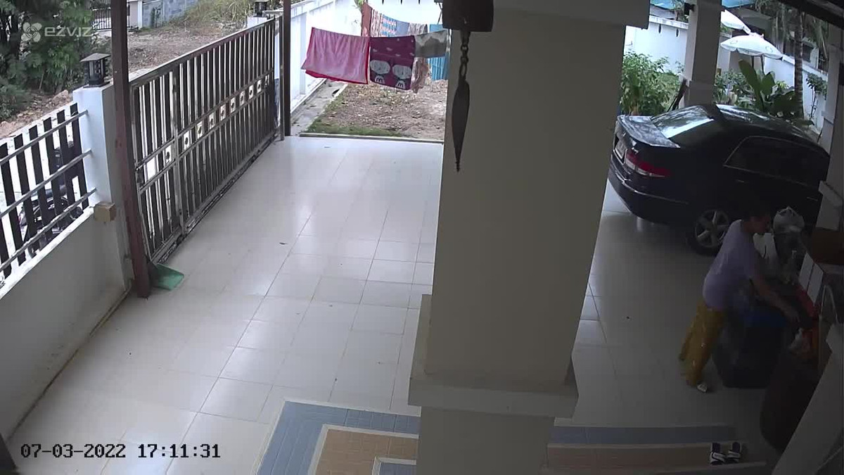 Video: Suyt bi ran tan cong, nguoi phu nu la het roi bo chay thuc mang