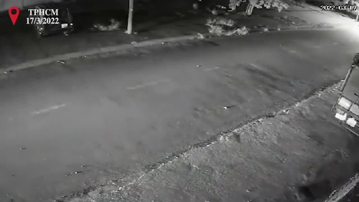 Video: Thanh niên thò người qua cửa ô tô, chích điện bắt trộm chó 10 kg trong 20 giây Video: Thanh nien tho nguoi qua cua o to, chich dien bat trom cho 10 kg trong 20 giay