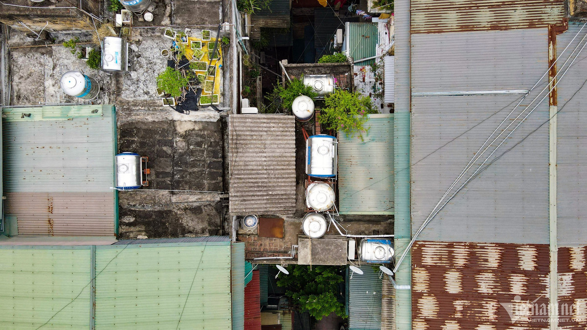 Các tầng thượng của tập thể tại đây theo nhiều năm tháng cũng xuất hiện tình trạng rêu mốc quấn quanh nóc.