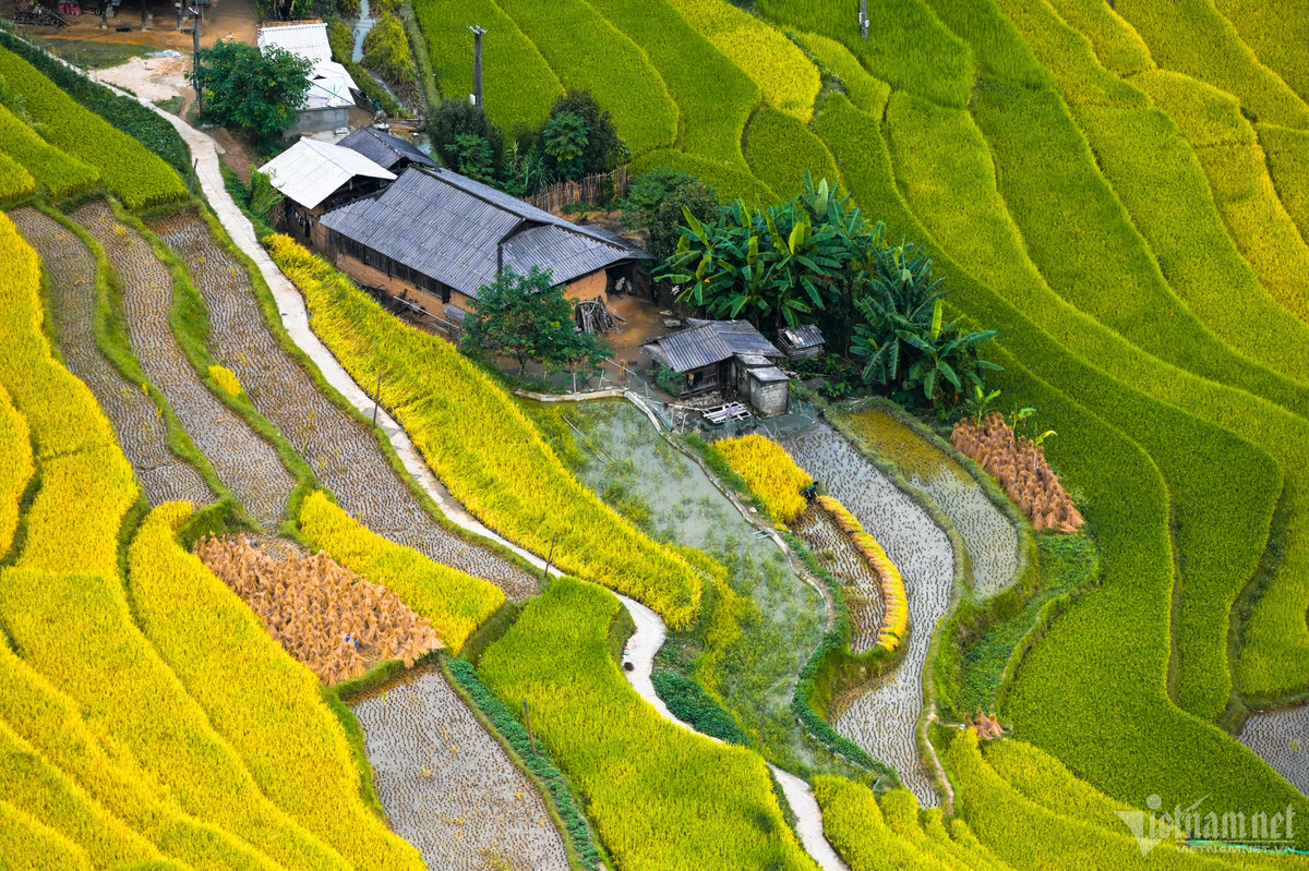 Hàng nghìn thửa ruộng bậc thang trải đều tít tắp, uốn lượn quanh những sườn đồi, lưng núi, tầng tầng lớp lớp đan xen vào những khoảng rừng, khe suối, tạo lên một vẻ đẹp bất tận.