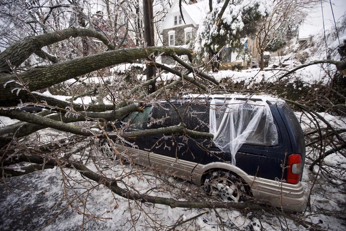 Một cây cổ thụ đổ đè lên chiếc xe ô tô bởi sự tàn phá của bão mùa đông tại Philadelphia ngày 5/2. Bão mùa đông cũng gây ra tình trạng mất điện cho 200.000 người ở đông nam Pennsylvania.