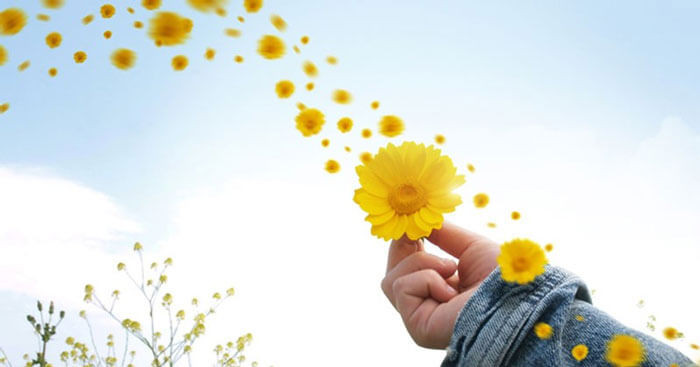 Nếu bạn luôn bi quan, thì bạn sẽ hạn chế bản thân đạt được mọi thứ có thể. Chỉ cần bạn có cái nhìn tích cực hơn về cuộc sống và mọi thứ, bạn sẽ đạt được bất cứ điều gì.