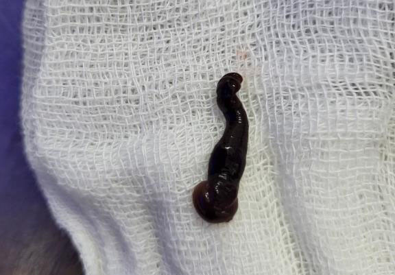 Phat hien dia song nhieu thang trong khe mui