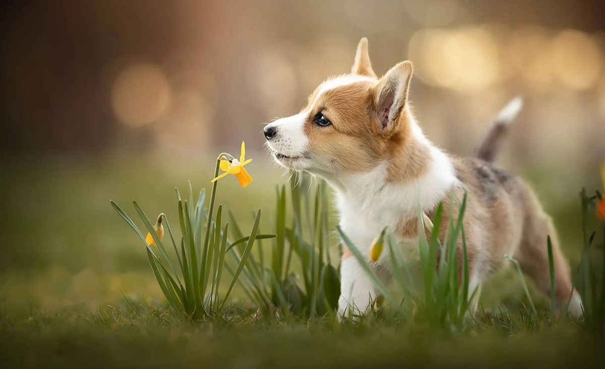 Dù công việc có bận rộn đến mấy, đừng quên sinh hoạt điều độ, hạn chế ăn đồ ăn cay nóng hoặc nhiều dầu mỡ. Khi bạn sống khoa học thì bạn sẽ có đủ sức khỏe để bắt tay vào làm mọi việc. (Bài viết mang tính tham khảo).