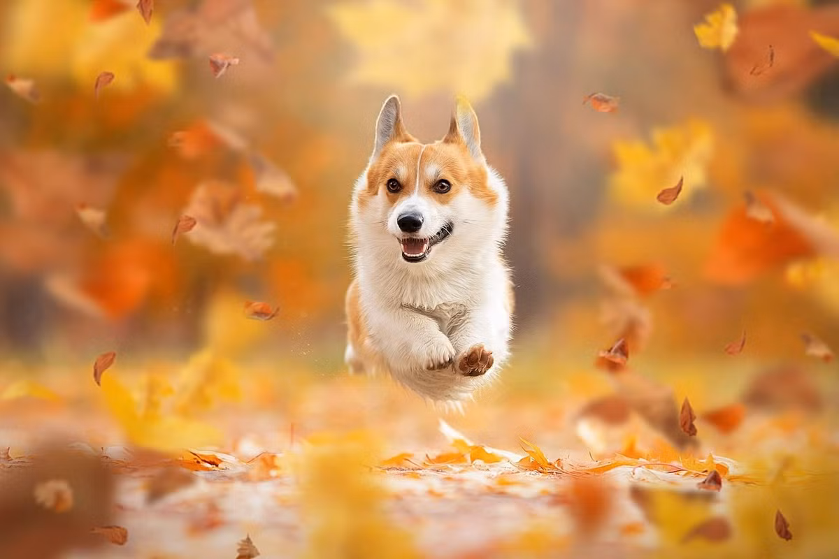  Hãy dành thời gian để rèn luyện thể dục thể thao hoặc tản bộ hít thở bầu không khí, như vậy bạn sẽ thấy cơ thể khỏe mạnh hơn, tinh thần nhẹ nhõm hơn, không bị vướng mắc trong những suy nghĩ tiêu cực, bi quan.