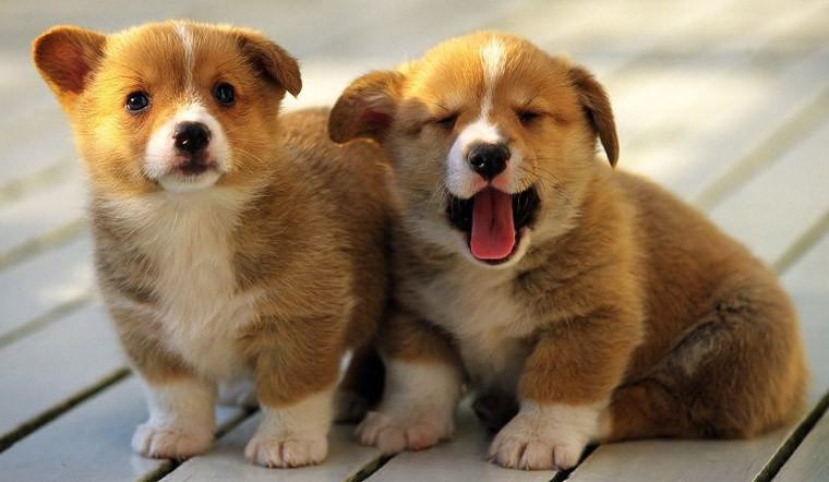  Cát tinh Bách Việt chủ đào hoa cho thấy thời điểm này, bạn dễ lọt vào mắt xanh của người khác giới. Có nhiều người sẽ chủ động tiến tới làm quen với bạn, song bạn cần tỉnh táo để tìm ra người chân thành với mình.