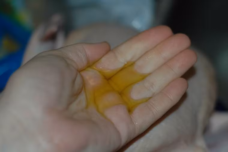 Tiếp đó, dùng ô liu tẩm đều lên mình gà. Chú ý không nên tẩm quá nhiều. Bạn chỉ cần tẩm một lớp mỏng là được.