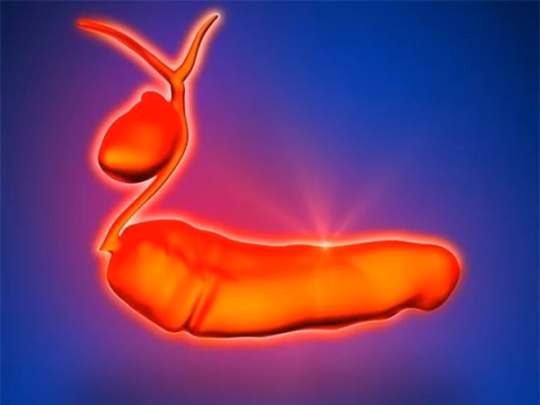 Theo các chuyên gia, béo phì, thừa cân và thói quen sử dụng thuốc lá là một trong những nguyên nhân hàng đầu gây ung thư tuyến tụy cả ở nam giới và phụ nữ. Riêng năm 2013, có 18.980 bệnh nhân nữ chết vì căn bệnh.