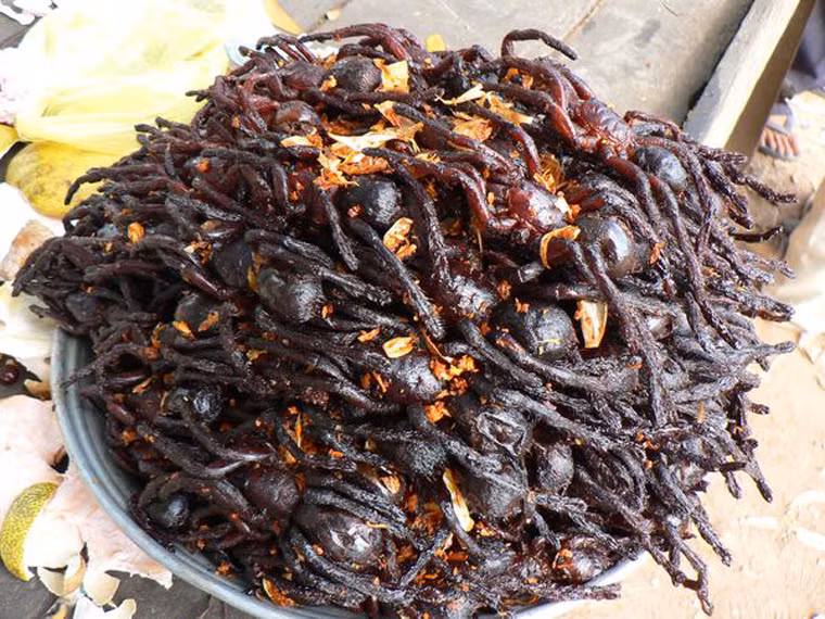 Trước, món ăn từ nhện đen còn khá xa lạ với cư dân nơi đây. Chỉ khi lâm vào tình trạng thiếu thực phẩm trầm trọng người ta mới nghĩ đến việc chế biến côn trùng làm thức ăn. Dần dần, nó trở nên phổ biến và được thưởng thức như một món ăn vặt đường phố ưa thích.