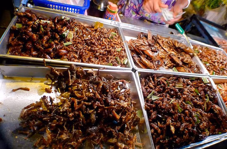 Côn trùng chiên. Đến với Thái Lan, bạn sẽ choáng ngợp với hàng loạt món ăn chế biến từ côn trùng. Nhìn chung, côn trùng chiên thường có hương thơm quyến rũ cùng vị giòn dai vô cùng hấp dẫn.