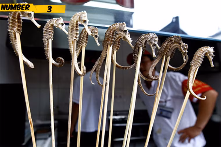 Cá ngựa xiên. Dù được bày bán ở vỉa hè song giá cá ngựa xiên không hề “mềm”. Bạn phải chi số tiền lớn mới có thể được thưởng thức những chú cá ngựa nhỏ được tẩm ướp gia vị rồi nướng hoặc phơi khô.