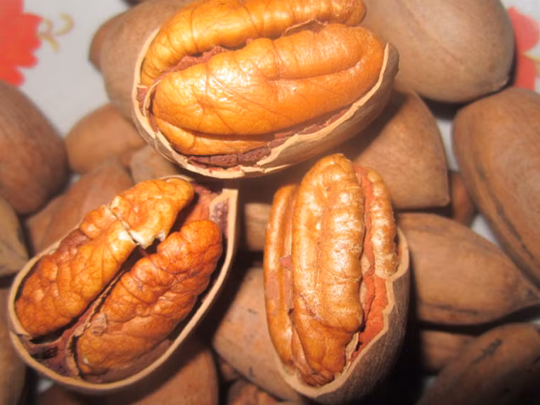 Lựa chọn chất béo có lợi. Các loại chất béo bão hòa, chất béo trans được xem là “khắc tinh” của sức khỏe, cần hạn chế tối đa. Thay vì tiêu thụ nhóm thực phẩm này, bạn nên cân nhắc chất béo chưa bão hòa trong hạt óc chó, hạnh nhân hay axit béo omega - 3 dồi dào ở cá, hạt lanh.