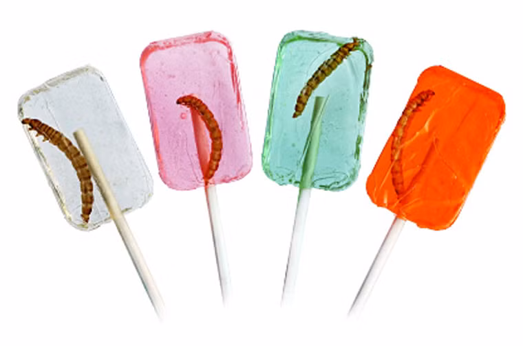 Kẹo sâu. Sở hữu vị ngọt giống như các loại kẹo khác song kẹo sâu gây ấn tượng mạnh bởi được gán thêm một chú sâu nhỏ hoặc châu chấu trên bề mặt. Nếu không thích, bạn có thể loại bỏ chúng rồi thưởng thức bình thường.