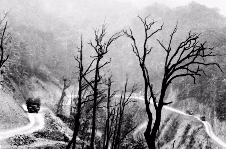 Bộ đội Trường Sơn đã bắn rơi 2.455 máy bay, diệt 1 trung đoàn, 4 tiểu đoàn, đánh thiệt hại nặng 5 trung đoàn bộ binh, diệt 16.900 tên, bắt 1.190 địch, thu và phá huỷ hơn 100 xe quân sự. Để có thành công đó, hơn 2 vạn cán bộ, chiến sĩ Trường Sơn anh dũng đã vĩnh viễn nằm lại nơi chiến trường, 3 vạn người bị thương; 14.500 xe máy các loại, 400 khẩu pháo, 9 vạn tấn hàng bị phá hỏng và phá hủy.