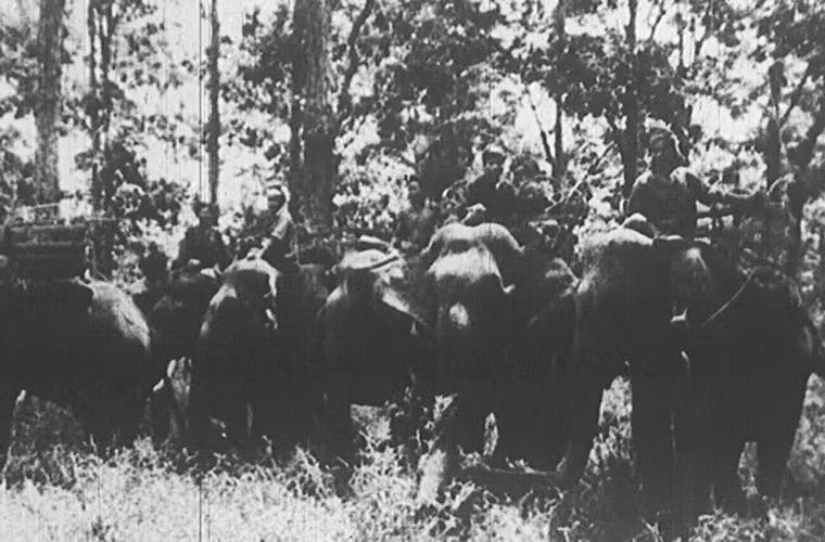 Trong 16 năm liên tục đó, lực lượng vận tải toàn tuyến đã vận chuyển hơn một triệu tấn vũ khí và phương tiện vật chất, vận chuyển cơ động 10 lượt sư đoàn, 3 quân đoàn, hộ tống 90 đoàn binh khí kỹ thuật, bảo đảm hành quân cho hơn 2 triệu lượt người qua lại.