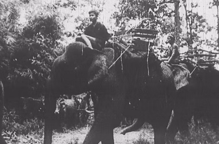 Đường giao liên bộ dài hơn 3.000km, xuất phát từ Bãi Hà (Quảng Trị) đến Đông Nam Bộ.