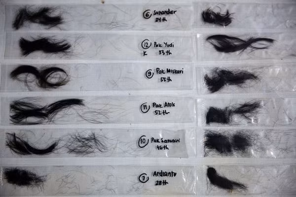 Ngoài ra, những nhà khoa học tới từ viện trên cũng thu thập những mẫu tóc của các dân cư sống ở Cisitu.