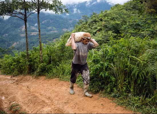 Theo Chương trình Môi trường của Liên Hợp Quốc, ngành công nghiệp vàng quy mô nhỏ là nguồn gây ô nhiễm thủy ngân lớn nhất trên thế giới (chiếm tới 37%).