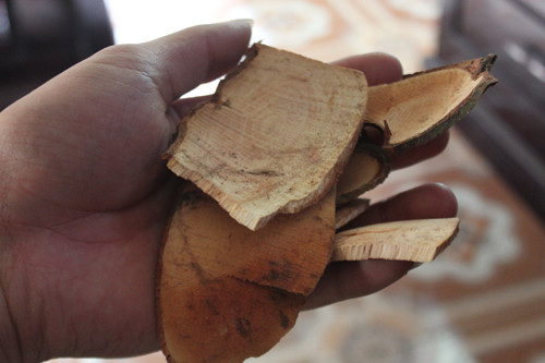 Cùn Tịu, tiếng Mường tức là "cao su".