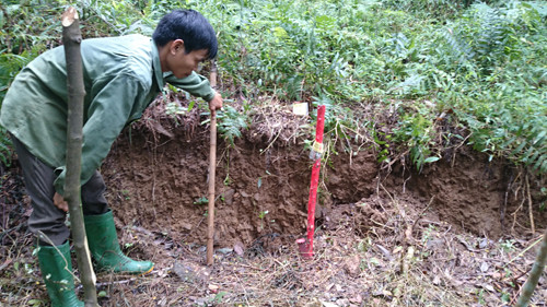 Một số đoạn, vết trượt sâu hơn so với nền đất cũ khoảng 1m.