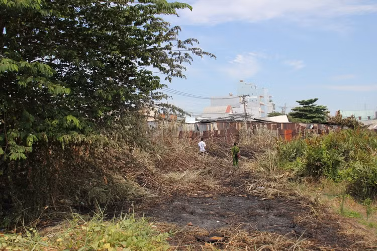 Cơ quan chức năng đang tiến hành kiểm đếm, thống kê thiệt hại. Bước đầu xác định có hơn 300 xe máy các loại, 1 ô tô và gần 10 xe ba bánh bán hàng đã bị cháy rụi, hư hỏng hoàn toàn. Trong ảnh là bãi cỏ khô bị đốt, được cho là hung thủ gây nên vụ cháy.