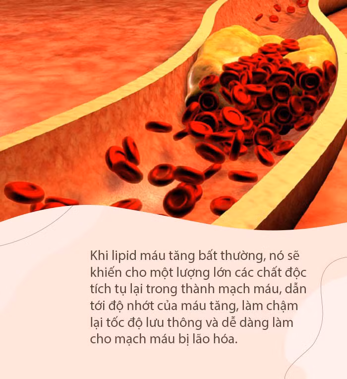 Khong phai the duc, bi quyet song 109 tuoi ai cung co the lam theo-Hinh-2