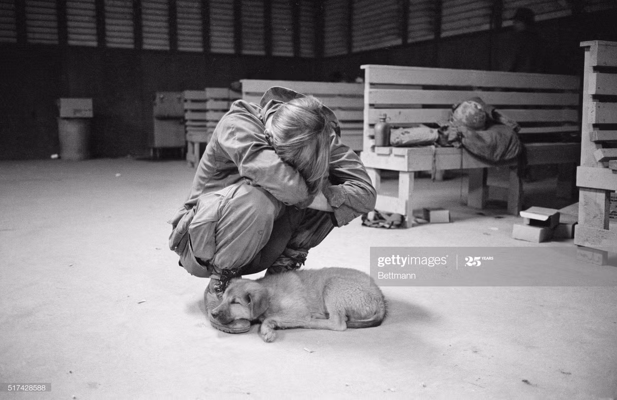 Một người lính Mỹ tranh thủ chợp mắt cùng chú chó tại doanh trại trước khi được đưa đến chiến trường Khe Sanh, Quảng Trị, 31/1/1971.