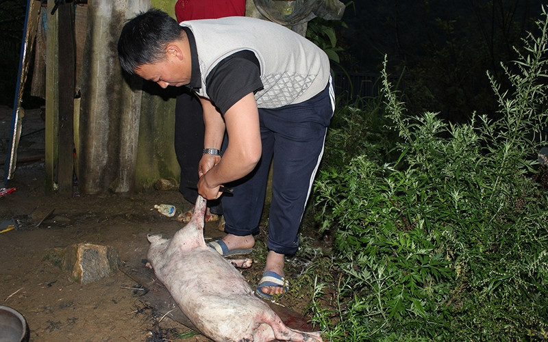 Doc dao phong tuc don Tet cua dong bao dan toc Mong-Hinh-3