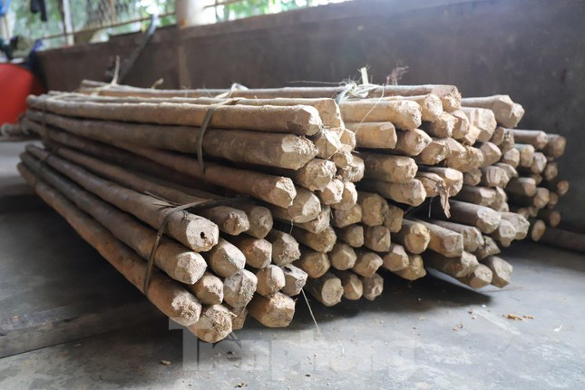 Người dân nơi đây chỉ sử dụng loại cau rừng để làm đũa thay vì chọn những cây tre hay cây thân gỗ khác.