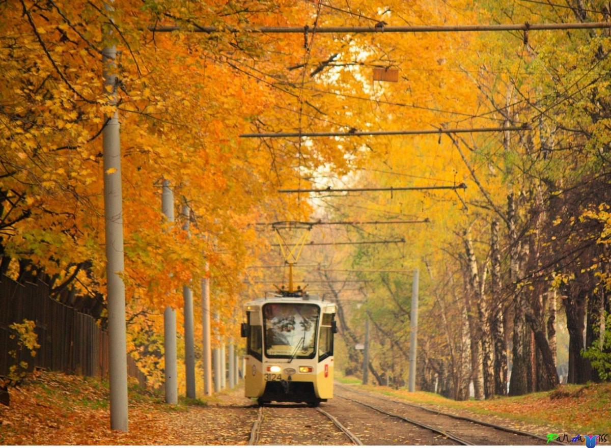 Nước Nga từ trước tới nay vẫn được biết đến với biệt danh xứ sở của cây bạch dương. Đây là cây thân gỗ, mọc cao và thẳng, vỏ có màu trắng, thường nở hoa vào mùa xuân, quả chín vào tháng 10. Cây bạch dương biểu tượng cho thiên nhiên và vẻ đẹp của nước Nga, là hiện thân của mùa xuân thơ mộng, ánh sáng và sự tinh khiết. Nhắc đến cây bạch dương, người ta cũng nghĩ ngay tới những cô gái xinh đẹp và trang nhã. Đến nước Nga du lịch, du khách sẽ nhìn thấy loài cây này được trồng mọi nơi tại nước Nga xinh đẹp.