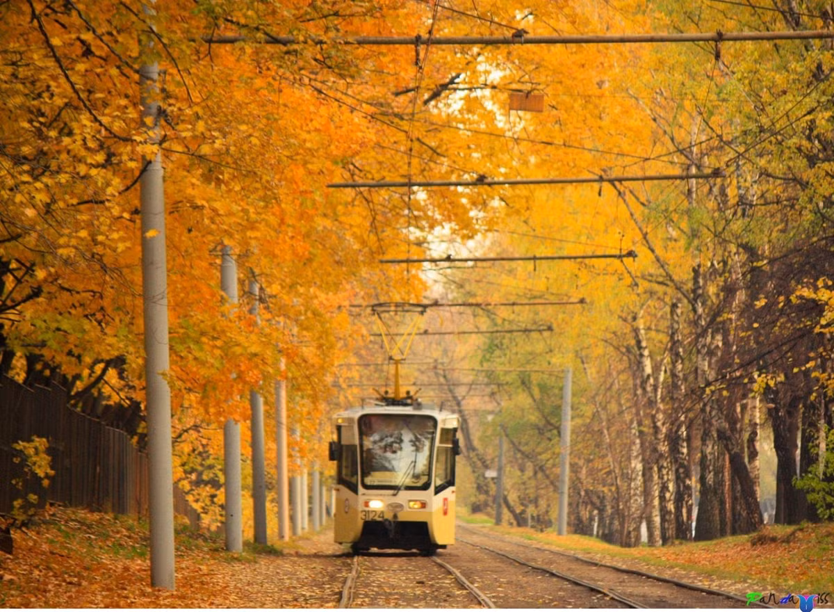 Nước Nga từ trước tới nay vẫn được biết đến với biệt danh xứ sở của cây bạch dương. Đây là cây thân gỗ, mọc cao và thẳng, vỏ có màu trắng, thường nở hoa vào mùa xuân, quả chín vào tháng 10. Cây bạch dương biểu tượng cho thiên nhiên và vẻ đẹp của nước Nga, là hiện thân của mùa xuân thơ mộng, ánh sáng và sự tinh khiết. Nhắc đến cây bạch dương, người ta cũng nghĩ ngay tới những cô gái xinh đẹp và trang nhã. Đến nước Nga du lịch, du khách sẽ nhìn thấy loài cây này được trồng mọi nơi tại nước Nga xinh đẹp.