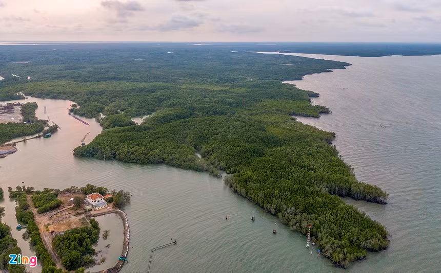 Cần Giờ có khu sinh quyển rừng Sác rất nổi tiếng, được UNESCO công nhận là Khu dự trữ sinh quyền vào năm 2000. Nơi đây cũng được công nhận là khu di tích quốc gia, là “lá phổi” của TP.HCM. Trong chiến tranh, rừng Sác Cần Giờ là căn cứ địa cách mạng rất nổi tiếng của nước ta. Ảnh: Phạm Ngôn.