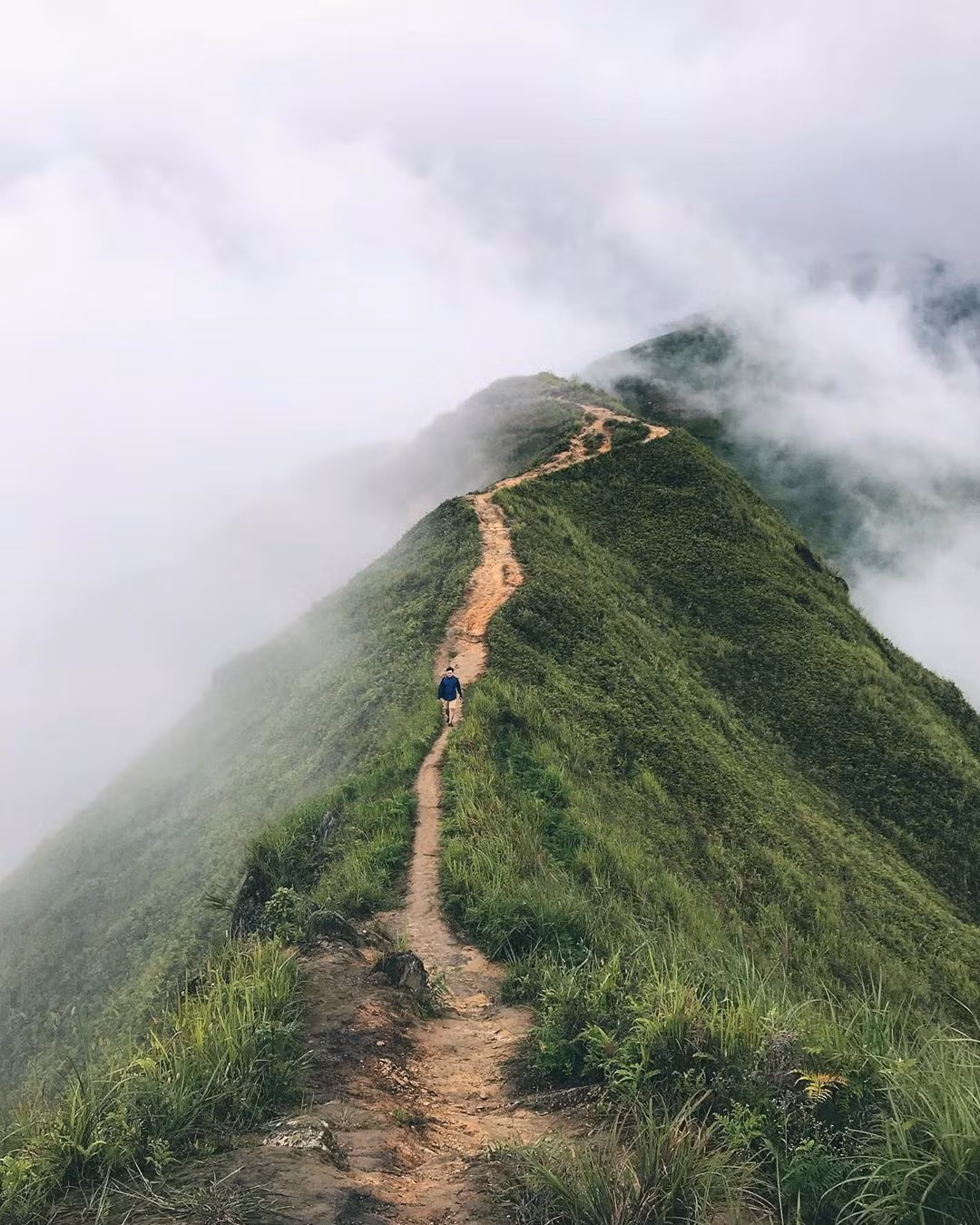  Tà Xùa, Bình Liêu, Mẫu Sơn là 3 địa điểm được ví là "sống lưng khủng long". Tên gọi độc đáo này xuất phát từ địa thế đường mòn nhô lên uốn lượn và hiểm trở giống như sống lưng con khủng long thời tiền sử. Ảnh: Nga.nguyen.nga.