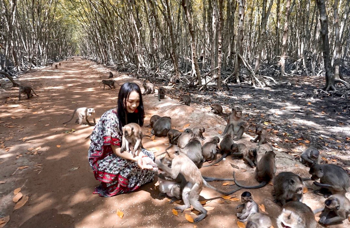 Đảo Khỉ là tên thường gọi của khu du lịch Lâm Viên ở Cần Giờ. Nơi đây tập trung hơn 2.000 con khỉ các loại. Du khách có thể cho chúng ăn hay chơi đùa. Tuy nhiên, cần lưu ý vật dụng cá nhân, nếu không cẩn thận, bạn sẽ bị chúng giật rồi bỏ chạy. Ảnh: Quyendowtothesoul.
