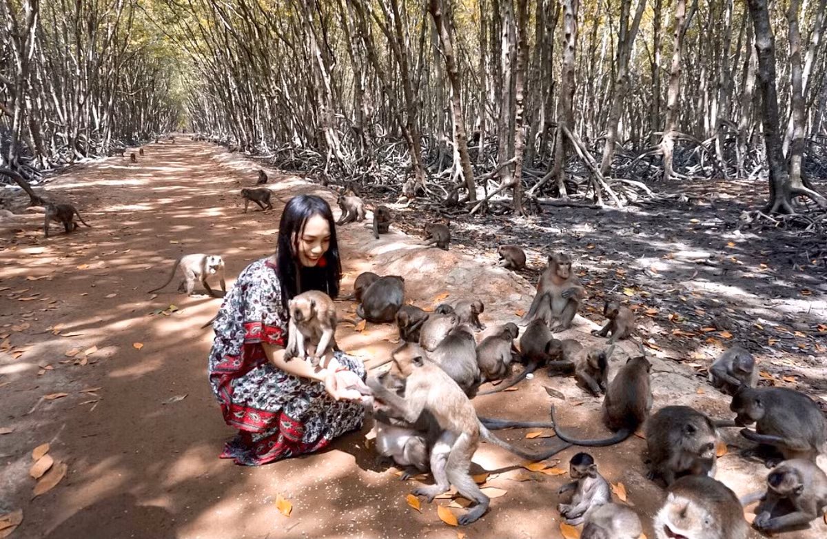Đảo Khỉ là tên thường gọi của khu du lịch Lâm Viên ở Cần Giờ. Nơi đây tập trung hơn 2.000 con khỉ các loại. Du khách có thể cho chúng ăn hay chơi đùa. Tuy nhiên, cần lưu ý vật dụng cá nhân, nếu không cẩn thận, bạn sẽ bị chúng giật rồi bỏ chạy. Ảnh: Quyendowtothesoul.