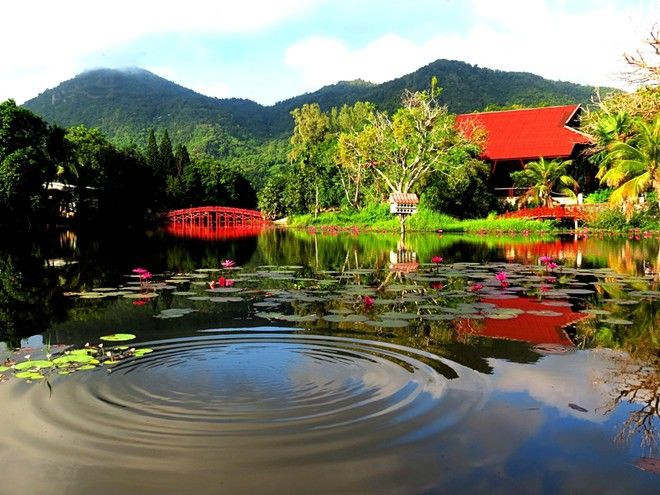 Núi Cấm cao nhất miền Tây Nam Bộ và cao thứ tư ở miền Nam, sau núi Bà Đen ở Tây Ninh, núi Bà Ra ở Bình Phước, núi Chứa Chan ở Đồng Nai.