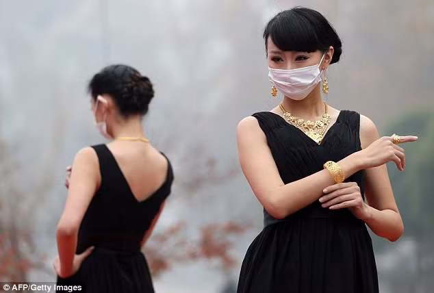 Theo ước tính, các nhà máy năng lượng hoạt động nhờ than đá chạy đua với quá trình đô thị hóa nhanh chóng của Trung Quốc, đã thải ra lượng khí thải trong không khí tăng vọt, cao gần gấp 40 lần khuyến cáo về giới hạn an toàn của Tổ chức Y tế Thế giới (WHO).