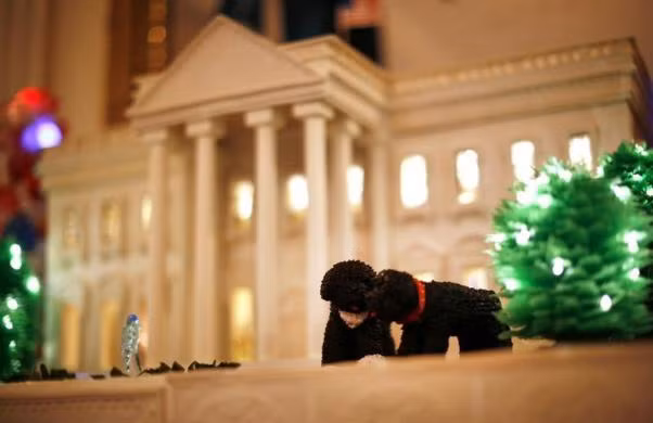 Chiếc bánh gừng khổng lồ được trang trí thêm mô hình thu nhỏ của 2 chú cún cưng của gia đình Obama tên là Bo và Sunny.