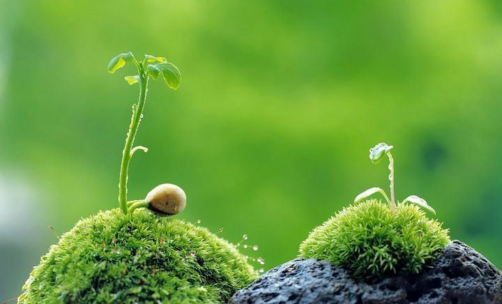  Lạc quan, tích cực không chỉ khiến con người trở nên vui vẻ hơn mà còn sáng suốt hơn. Ai cũng có cơ hội gặp quý nhân trong đời, quan trọng là có biết mà nắm lấy hay không thôi. Trong lúc bạn đang ủ rũ buồn bã, có lẽ quý nhân của bạn đã lướt qua mất rồi đấy.